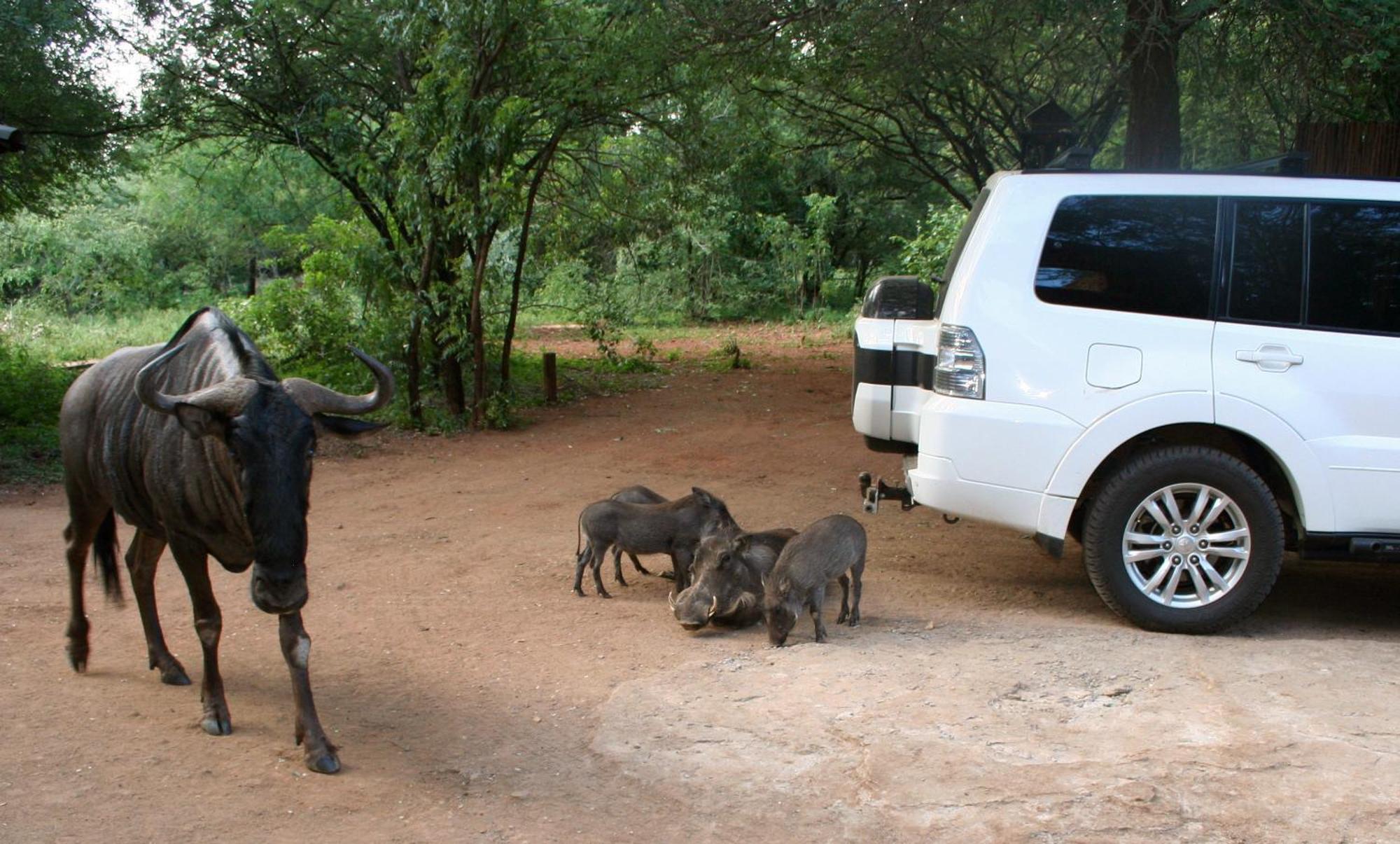 Kiburi Lodge @ Kruger, A Secluded Bushveld Getaway Marloth Park Exterior foto